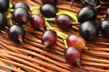 Black currants