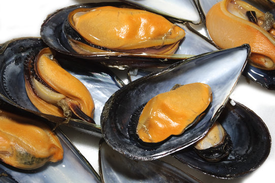 mejillones