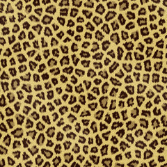 hi res leopard fur