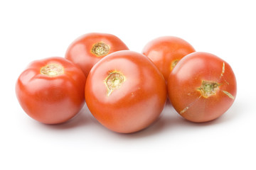 tomatoes