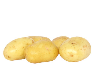 Few bilb of popato. Isolated