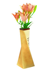 Bouquet of pink lilies in vase on white background. Isolated.