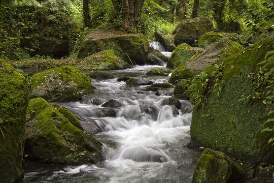 Calcata, cascate del Treja