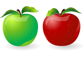 Fresh Apples