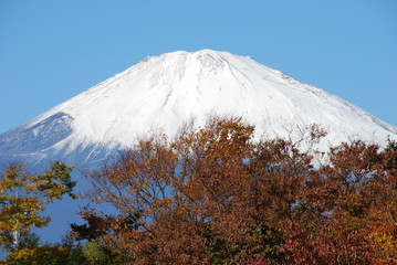 秋の富士