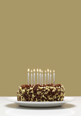 Chocolate birthday cake with candles