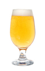 freshly poured beer in a glass, isolated on white