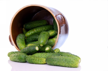 Pot of cucumbers