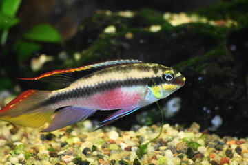 Fototapeta premium SONY DSC