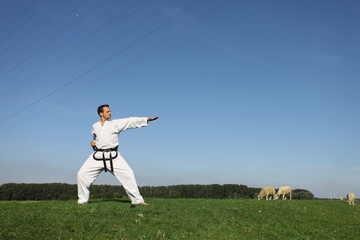Taekwondo - Kämpfer