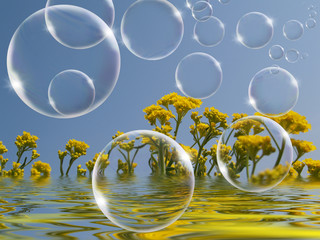 Feuer-Wasser-Erde-Luft