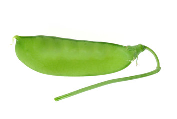 green pea