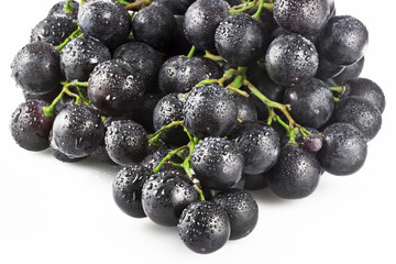 Uva Nera 2 09