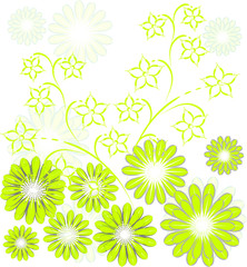 Grüner Blumen Hintergrund