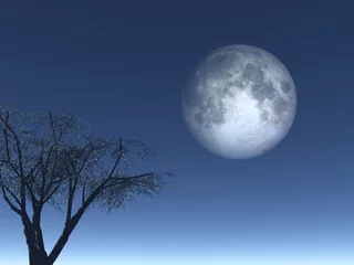 Fotobehang Volle maan en bomen maand