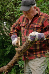 senior male cutting back tree log with axe