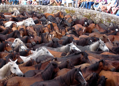 galicia