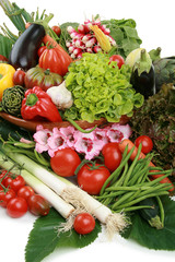 composition de légumes sur fond blanc