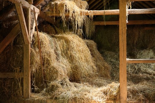 landwirtschaft