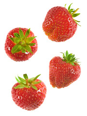 Vier fallende isolierte Erdbeeren