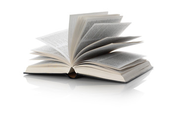 Isolated thesaurus book