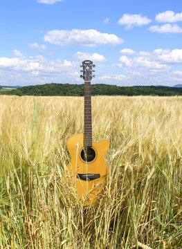Gitarre im Feld