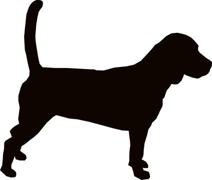 Beagle hound dog silhouette