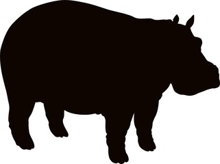 Hippopotamus silhouette