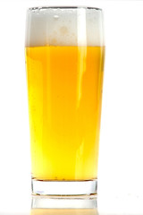 beer