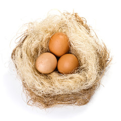 Eggs