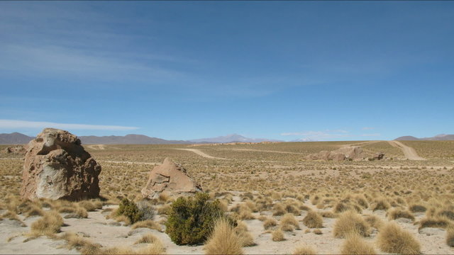 Altiplano , Potosi area , Bolivia
