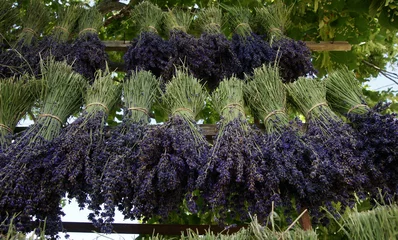 Lavendel-Strauß