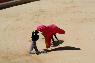 Novillada y espectaculo taurino en San Fermín, Pamplona.