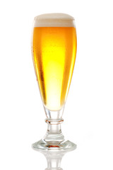 Frisch gezapftes Bier