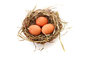 Three eggs in nest isolated on white