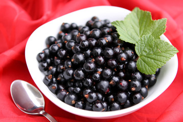 Schwarze ,Johannesbeeren,Obst