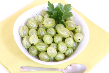 Grüne Stachelbeeren,Gartenarbeit