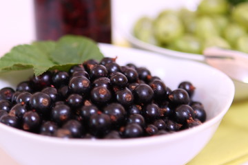 Schwarze Johannesbeeren