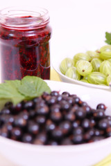 schwarze johannesbeeren