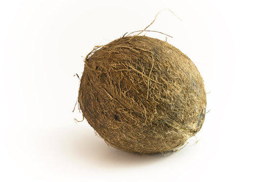 Kokosnuss seitlich