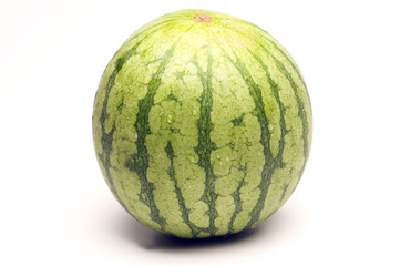one personal size seedless watermelon © robert lerich