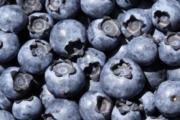 Blaubeeren