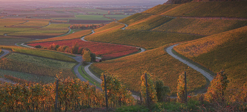 Weinberg, Franken