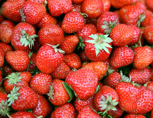 fresh strawberry