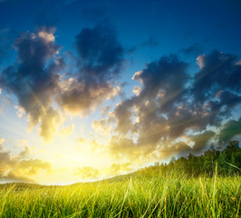 Fototapeta na wymiar grass and perfect sunset