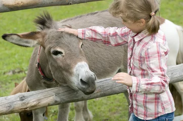 Foto auf Acrylglas Esel Kleines Mädchen auf dem Bauernhof