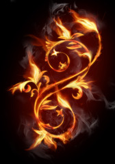Fototapeta premium Fiery flower