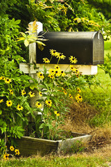 Rural Mailbox
