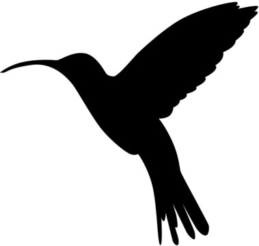 black hummingbird silhouette flying white background clip art preview