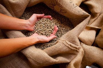 a hand full of raw coffee beans